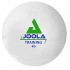М'ячі для настільного тенісу Joola Training 40+ 144 шт (44235)