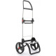 Сумка-візок Rolser Eco Pep 2 LRSG (PEP025-1041)