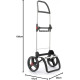 Сумка-візок Rolser Eco Pep 2 LRSG (PEP025-1041)