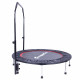 Фитнес батут с поручнем InSportLine Profi 122 см