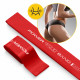 Резинка для фитнеса 4FIZJO Mini Power Band 0.4 мм 1-3 кг Red (P-5907739310361)