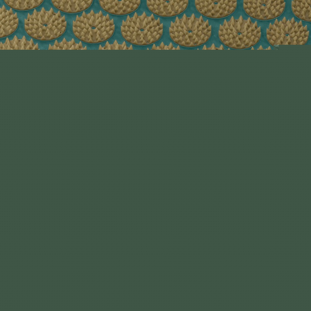 Коврик акупунктурный с валиком 4FIZJO Classic Mat Аппликатор Кузнецова Navy Green/Gold (P-5907739313300)