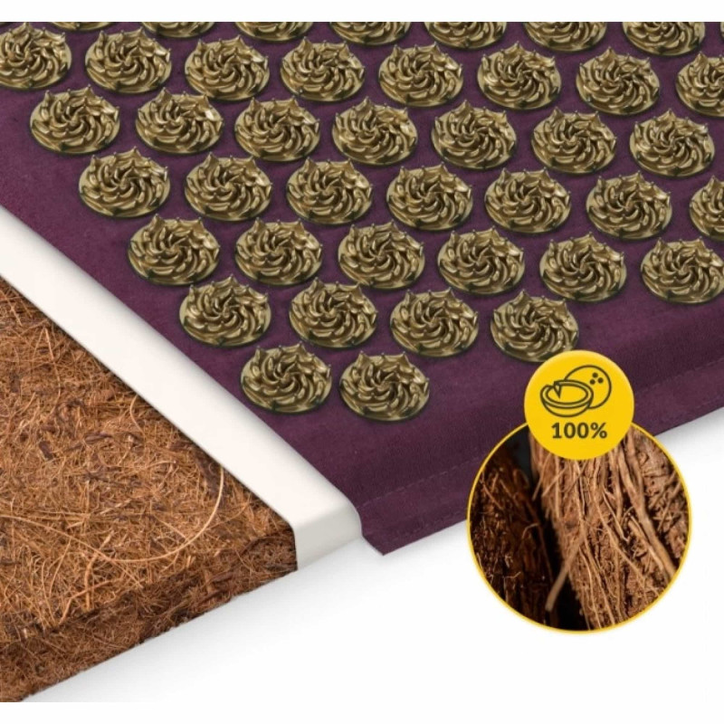 Коврик акупунктурный с подушкой 4FIZJO Eco Mat Аппликатор Кузнецова Wine Red/Gold (P-5907739312907)
