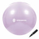 Фітбол Springos 65 см Anti-Burst Violet