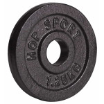Диск металлический Hop-Sport 1,25кг