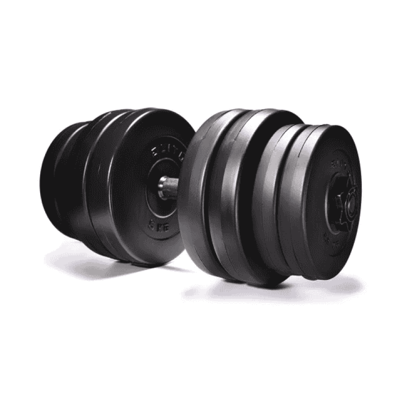 Гантели Elitum 2 х 31кг