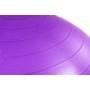 Фітбол Hop-Sport 65 см Violet з насосом
