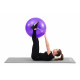 Фітбол Hop-Sport 65 см Violet з насосом