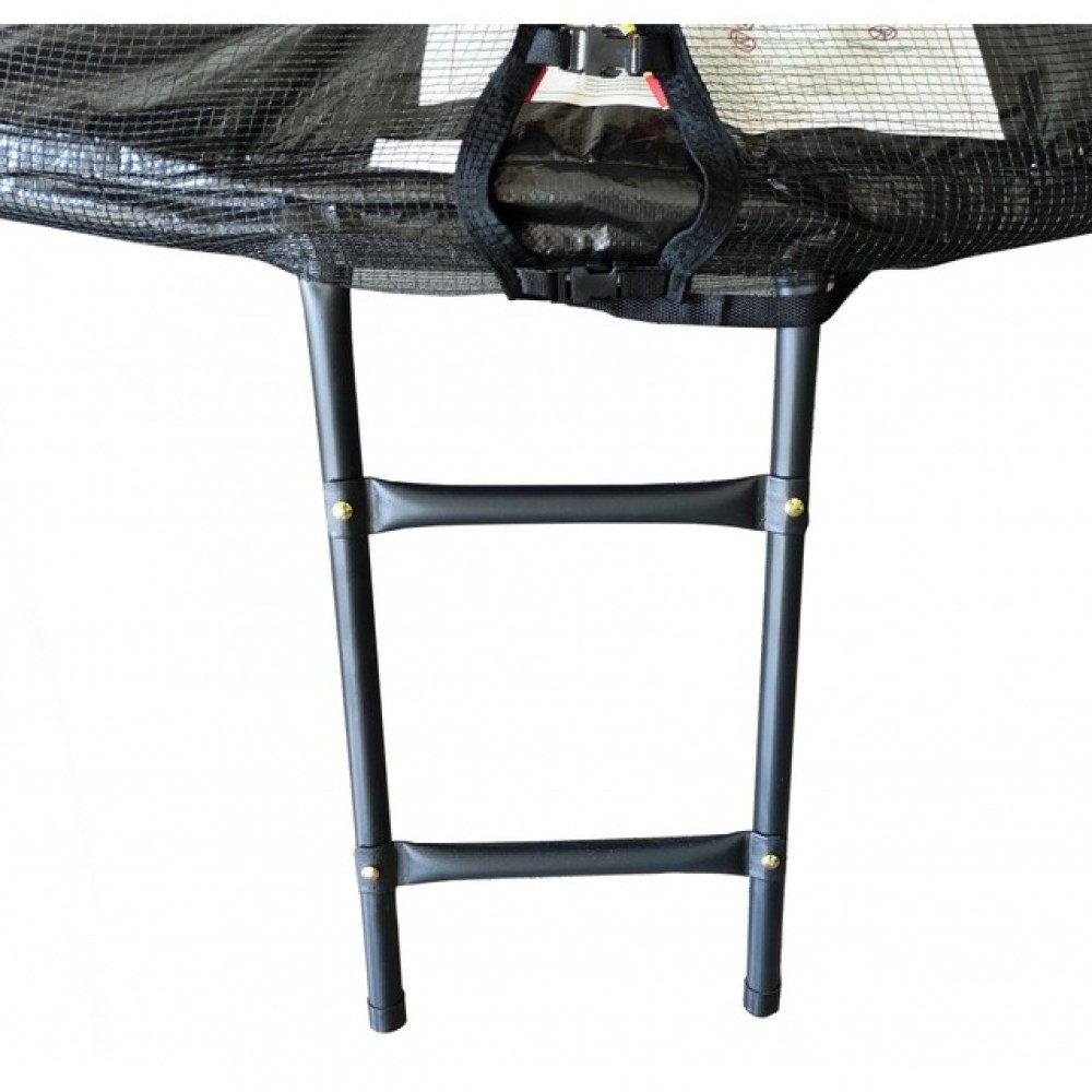 Батут Atleto Black 252 см з сіткою та драбинкою