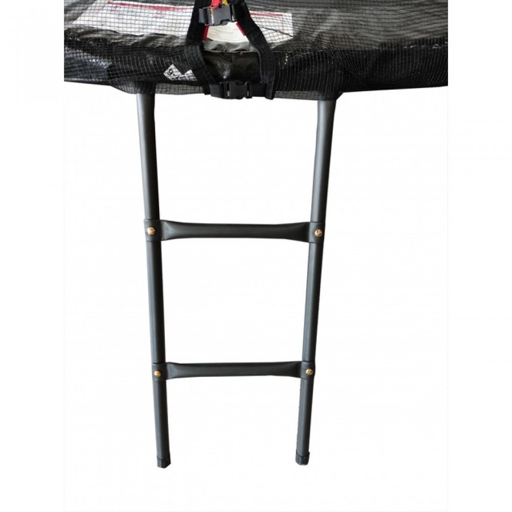 Батут Atleto Black 312 см з сіткою та драбинкою