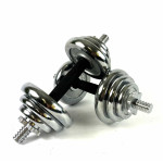 Гантели хромированные Neo-Sport 2 x 10 кг в кейсе