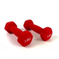 Гантели для фитнеса металлические Neo-Sport Red 2 x 1 кг