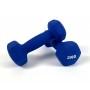 Гантели для фитнеса металлические Neo-Sport Blue 2 x 2 кг
