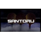 Основа для ракетки Joola Santoru KL-C Inner ST (65057)