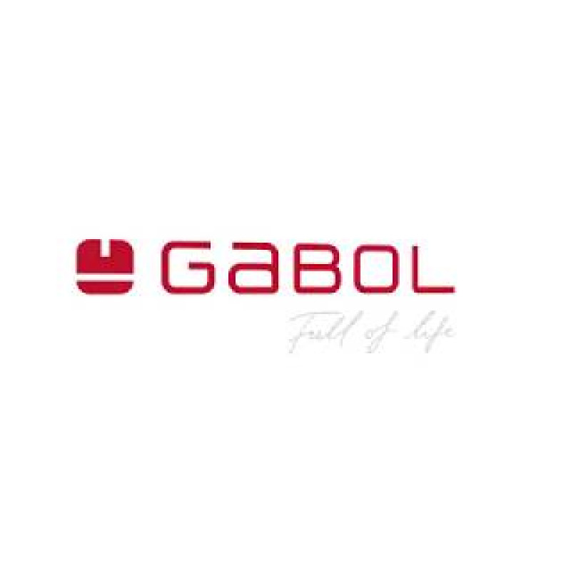 Валіза Gabol Zambia (S) Burgundy (113401-026)