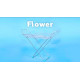 Сушилка для белья напольная Colombo Flower (ST798)