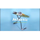 Дошка для прасування Colombo Atlantic (A180L01W)